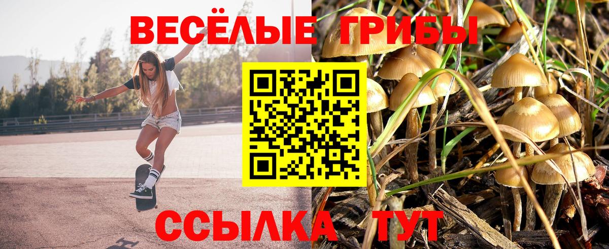 Бирск  Псилоцибиновые грибы Magic Shrooms  Вход с VPN  Псилоцибиновые грибы MAGIC MUSHROOMS 